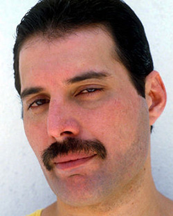 Fake Freddie Mercury Moustache